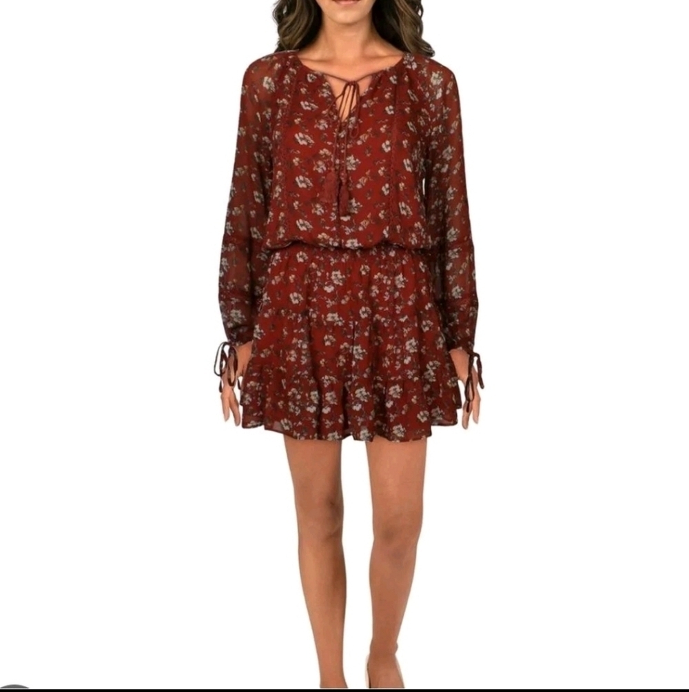 Lost + Wander Floral Long Sleeve Dress in Rust Anthropologie